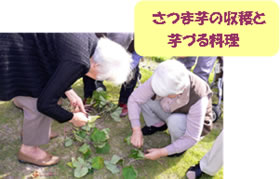 芋ほりの様子:グループホーム プルミエールさなげ